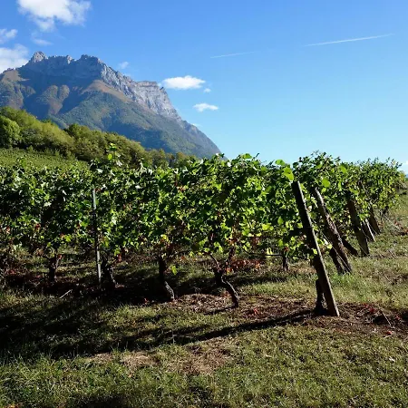 Du Porche Saint-Jean-de-la-Porte